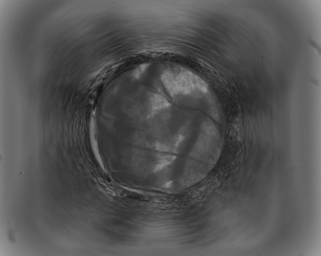 X0000095111014200801041155