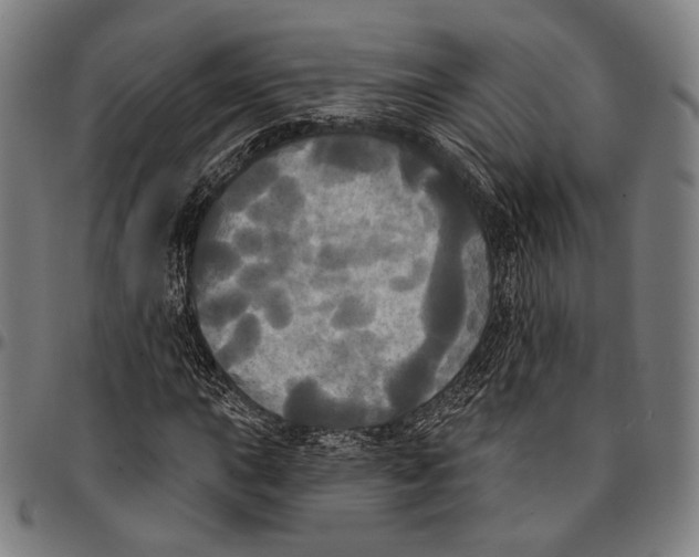 X0000095111015200801041155