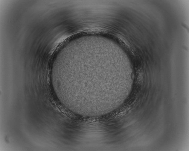 X0000095111016200801041155