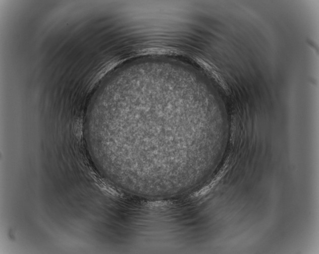 X0000095111017200801041155