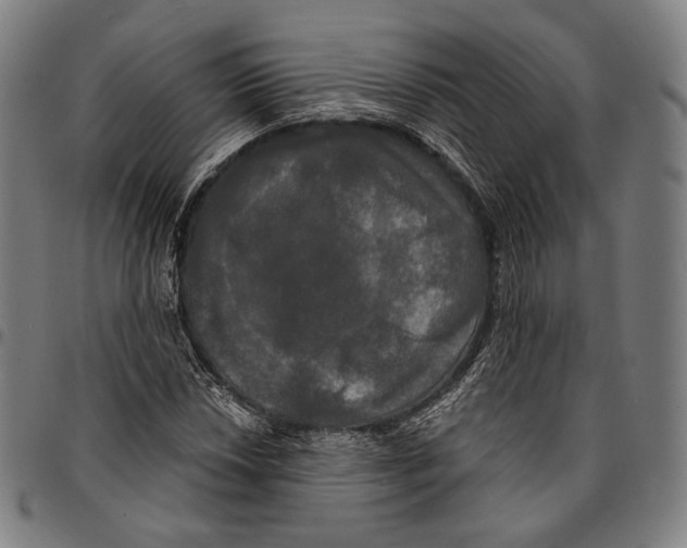X0000095111018200801041155