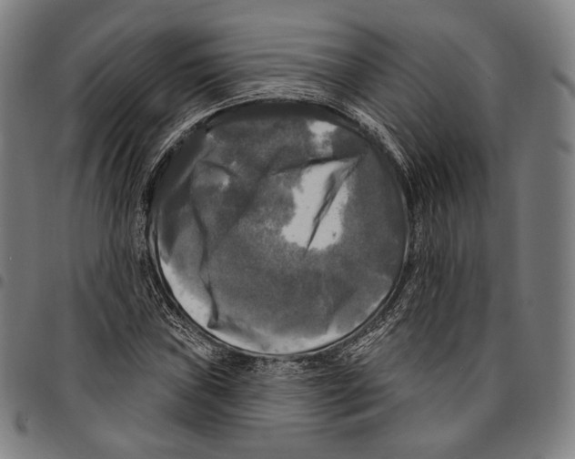 X0000095111019200801041155