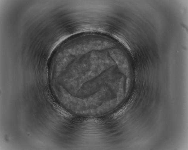 X0000095111021200801041155