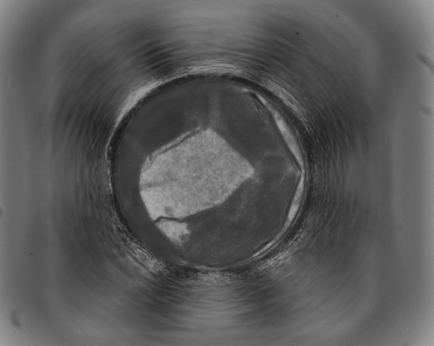 X0000095111022200801041155