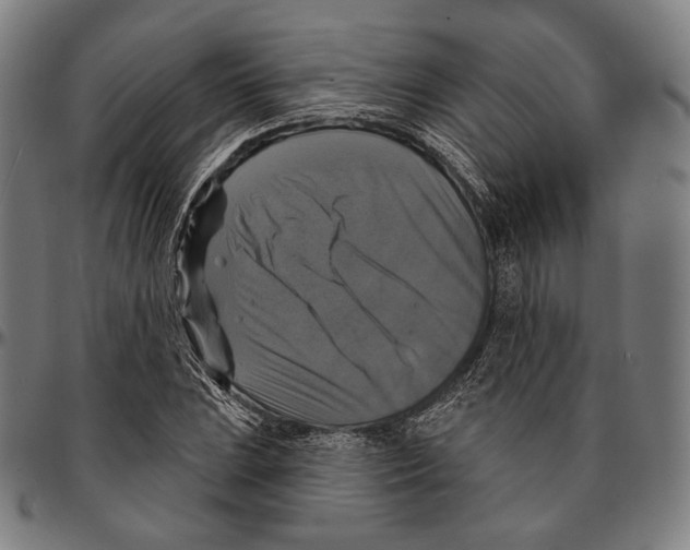 X0000095111023200801041155
