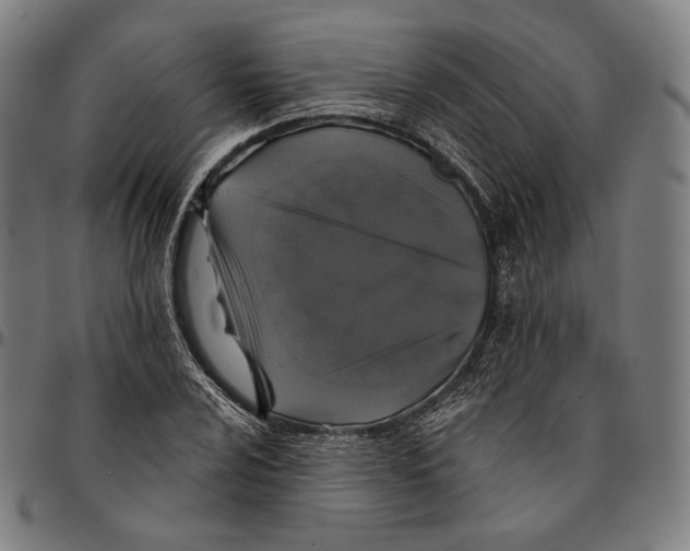 X0000095111024200801041155