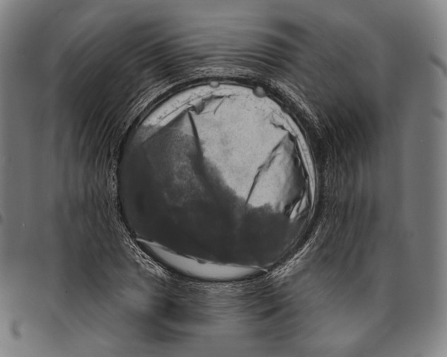 X0000095111025200801041155