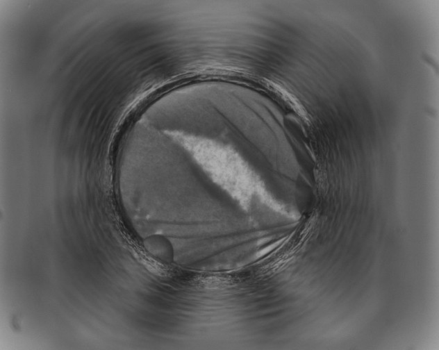 X0000095111027200801041155