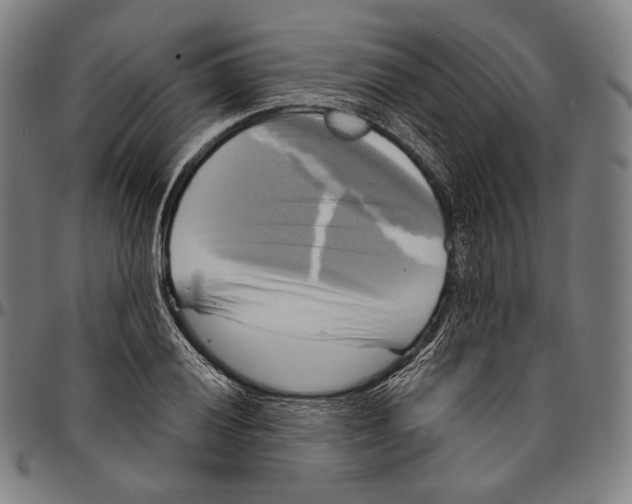 X0000095111028200801041155