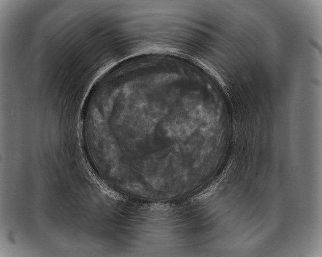 X0000095111029200801041155