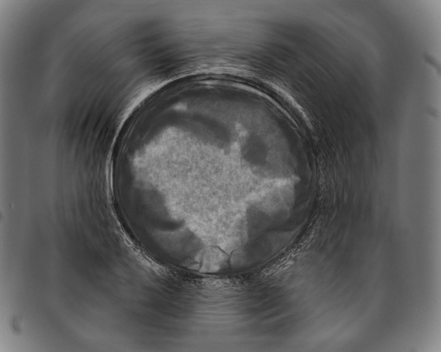 X0000095111032200801041155