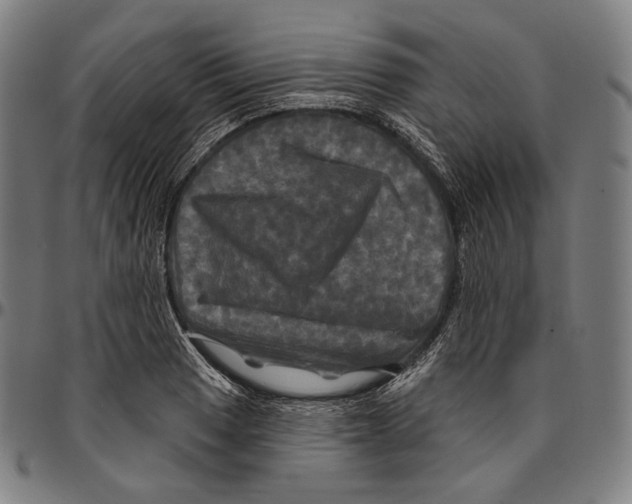 X0000095111033200801041155
