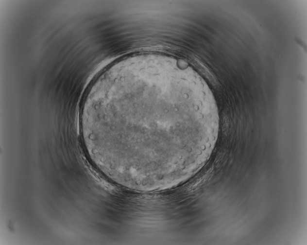 X0000095111036200801041155