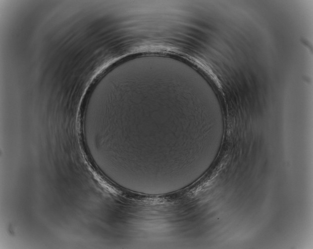 X0000095111037200801041156