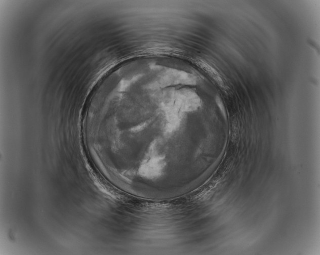 X0000095111039200801041156