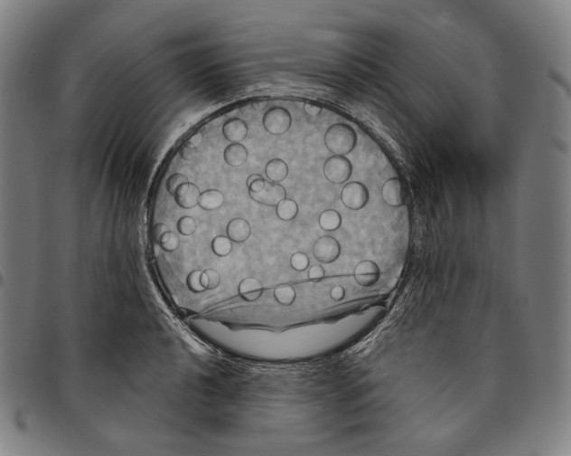 X0000095111040200801041156