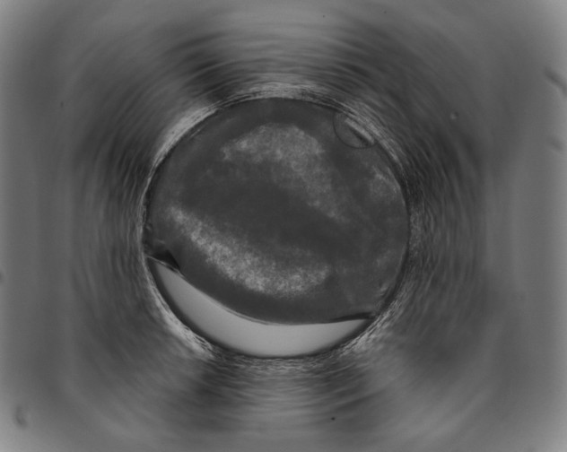 X0000095111042200801041156