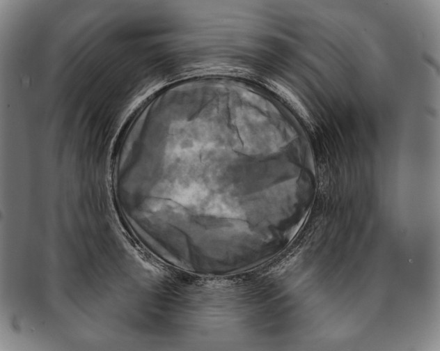 X0000095111043200801041156