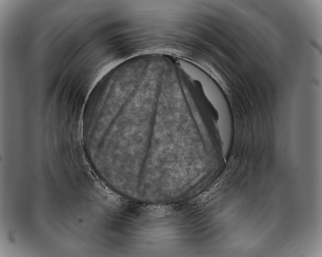 X0000095111044200801041156