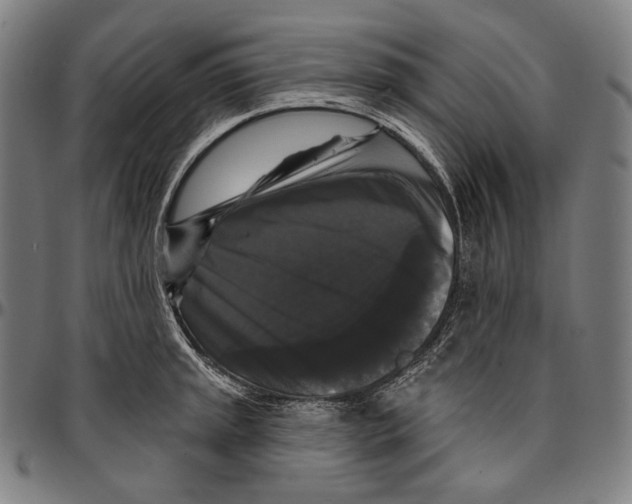 X0000095111045200801041156