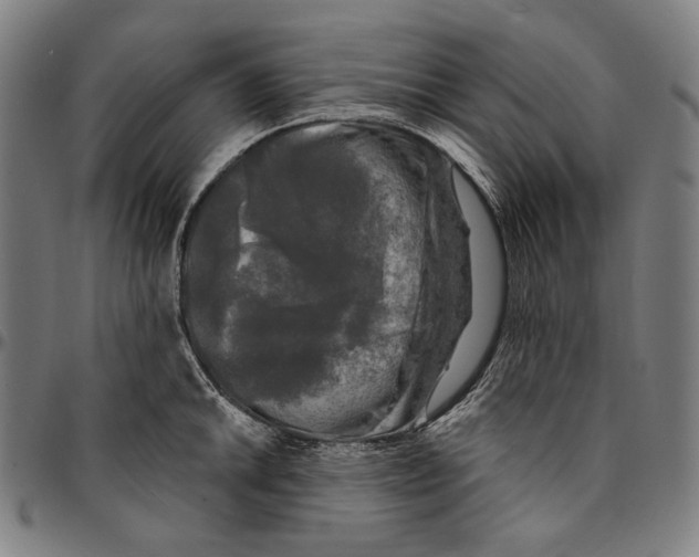 X0000095111046200801041156