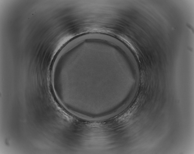 X0000095111048200801041156