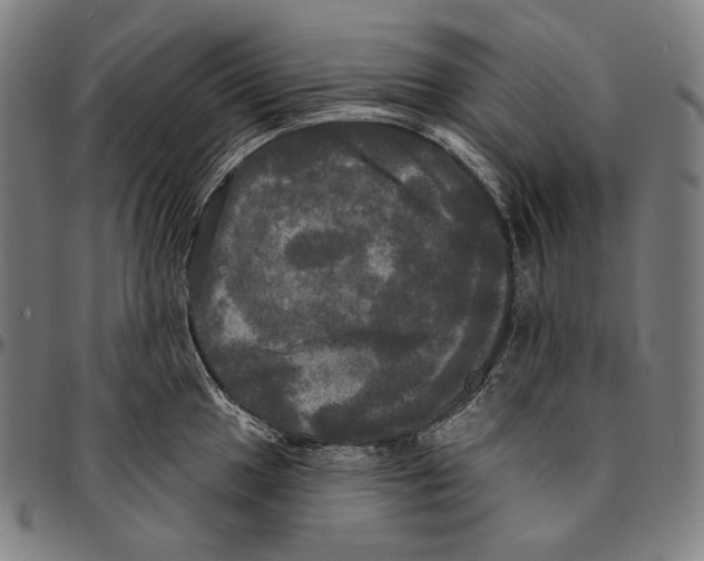 X0000095111049200801041156