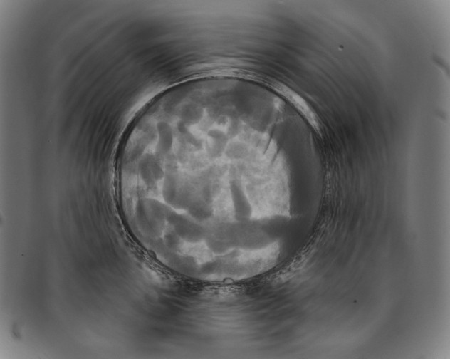 X0000095111051200801041156