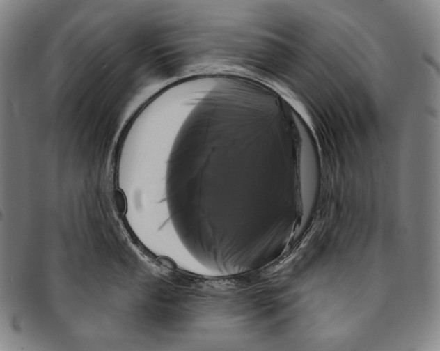 X0000095111053200801041156