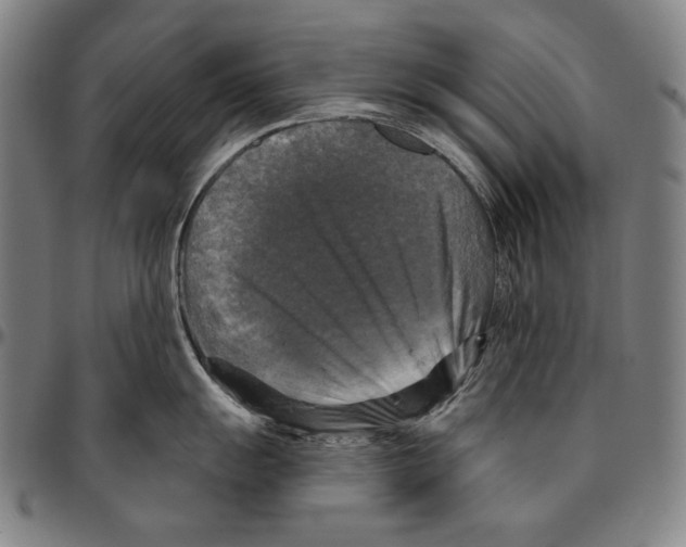 X0000095111055200801041156