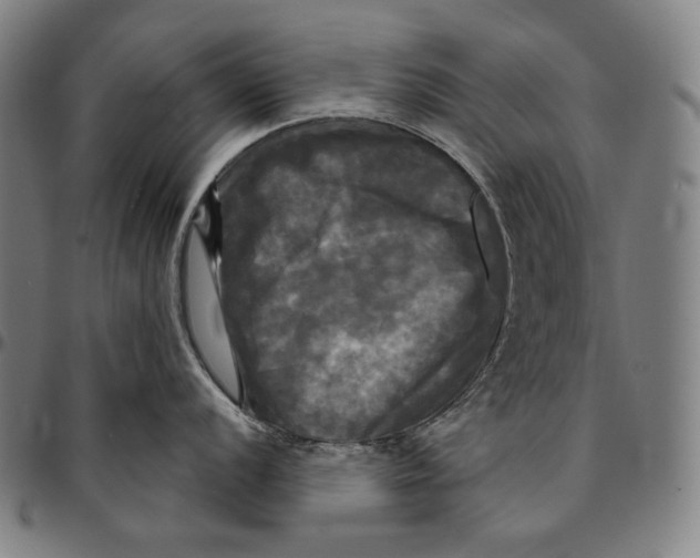 X0000095111056200801041156
