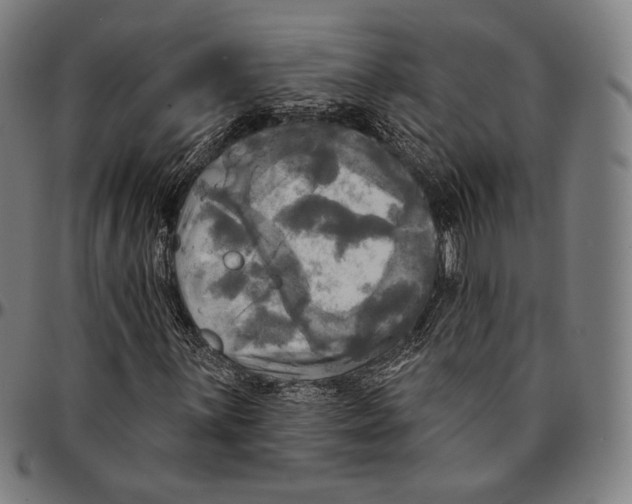 X0000095111059200801041155