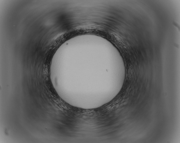 X0000095111062200801041155