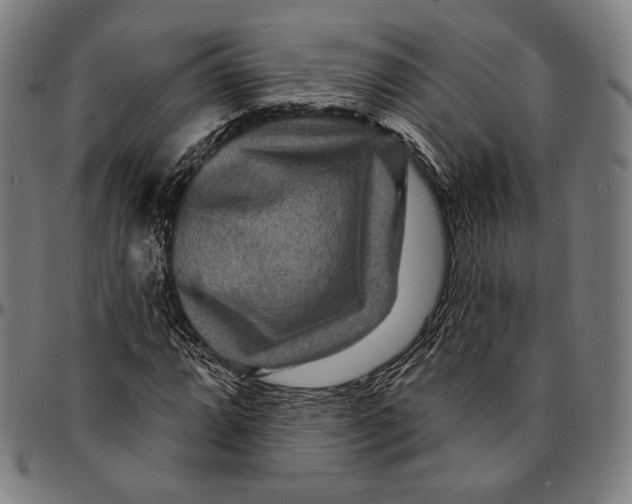 X0000095111064200801041155