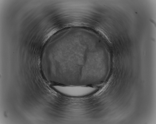 X0000095111065200801041155