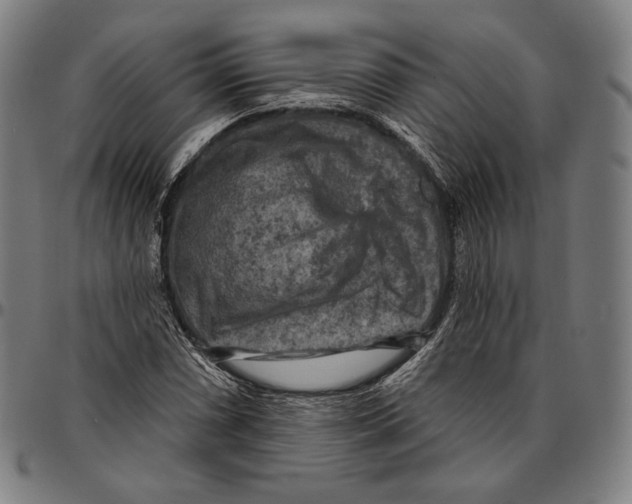 X0000095111066200801041155