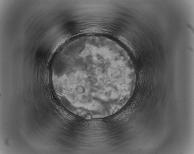 X0000095111067200801041155