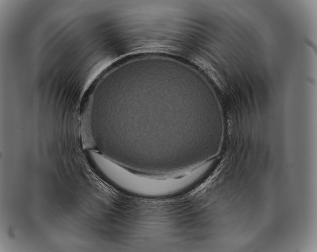 X0000095111069200801041155