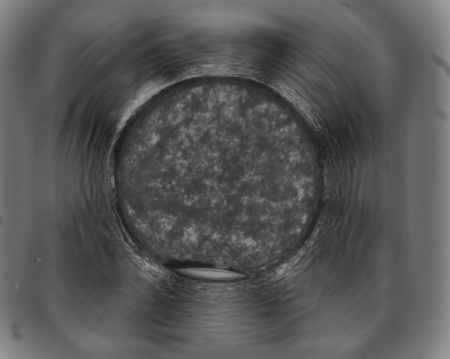 X0000095111070200801041155