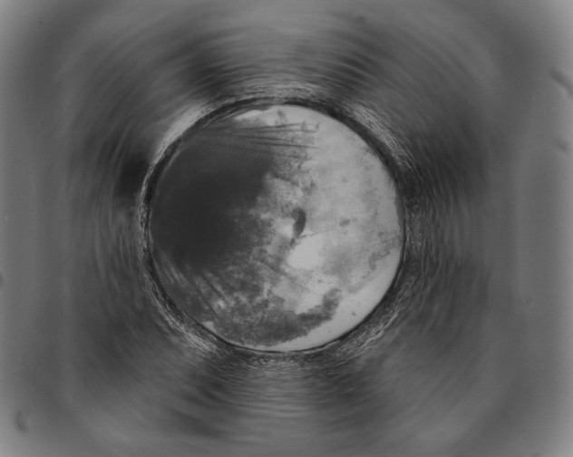 X0000095111071200801041155