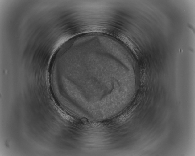 X0000095111072200801041155