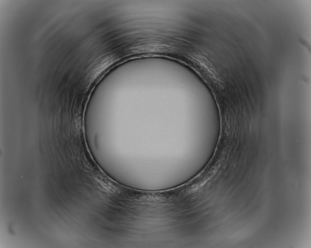 X0000095111073200801041155