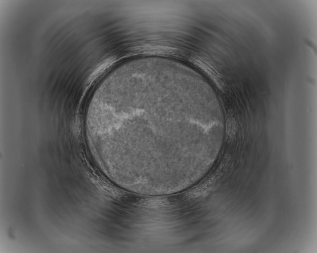 X0000095111074200801041155