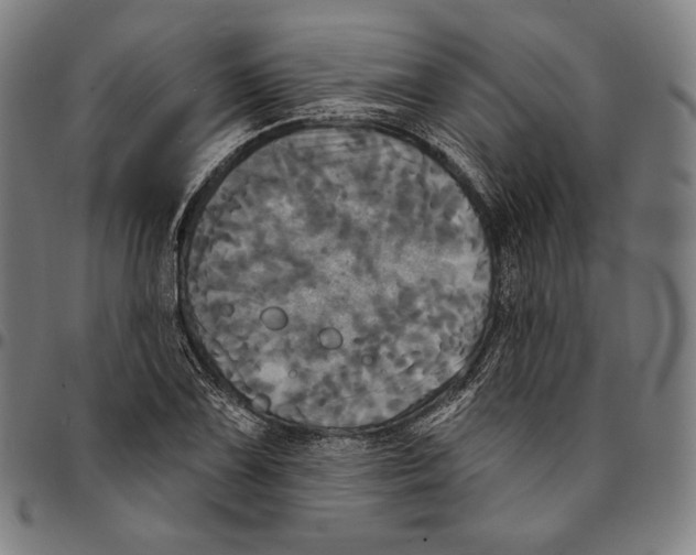 X0000095111075200801041155