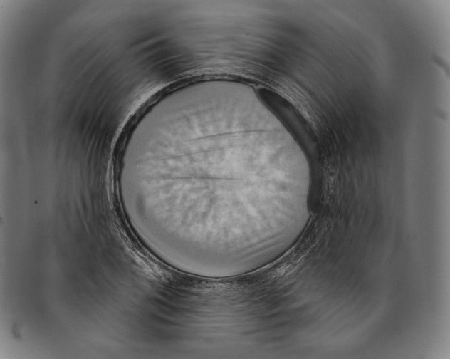 X0000095111076200801041155