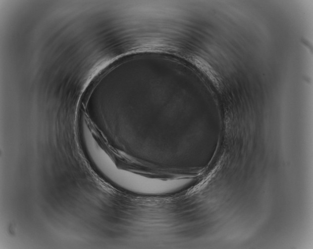 X0000095111077200801041155