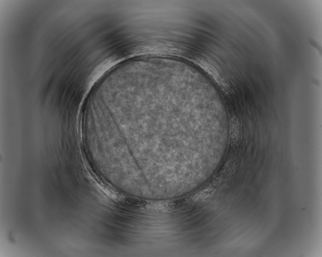 X0000095111078200801041155