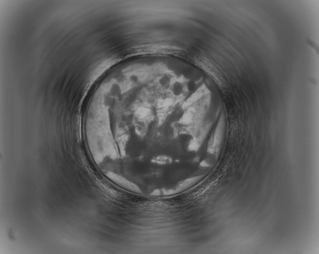 X0000095111079200801041155
