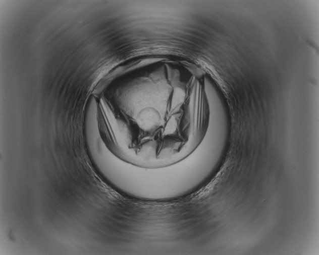 X0000095111081200801041155