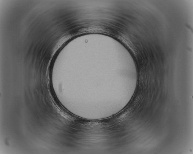 X0000095111082200801041155